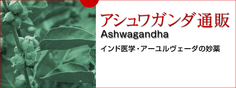 AVK_ʔ